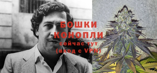 молекула духа Россошь