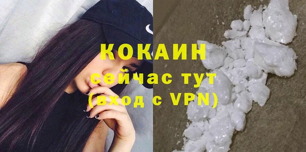сатива Рославль
