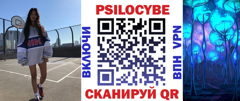 Галлюциногенные грибы Psilocybe  где можно купить   гидра ссылки  Елабуга 